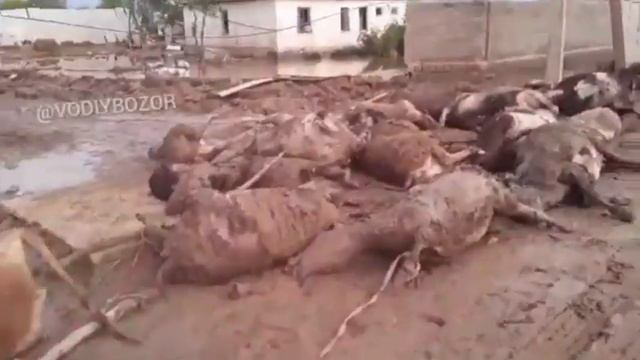 БУ ВИДЕОДАН КЕЙИН УЗИМГА КЕЛИШИМ КИЙИН БУЛДИ смотреть онлайн