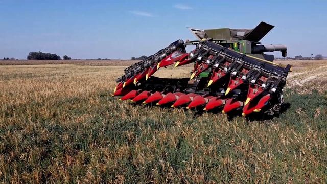 Geringhoff Mais Star* + @JohnDeere S780 I World's Largest Folding Corn Head