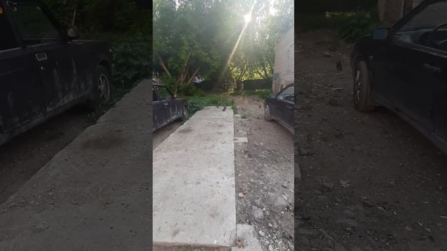 очень смешные голуби смотреть онлайн