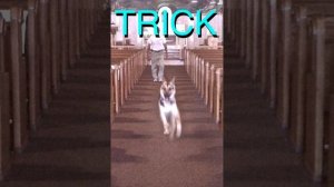 Mary alex g (1 hour)