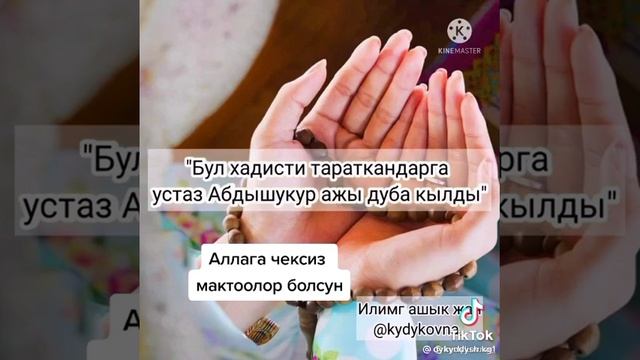 Детские передачи смотреть онлайн