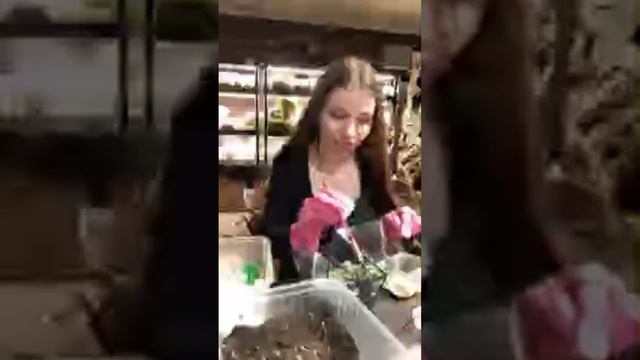 Даем флорариуму вторую жизнь, делаем имитацию воды, уставший менеджер и фотошоп Кейт Миддолтон😂 смотреть онлайн