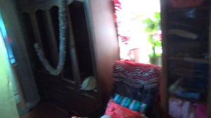 Мухи и жуки! Видеоблог 18 июня 2015