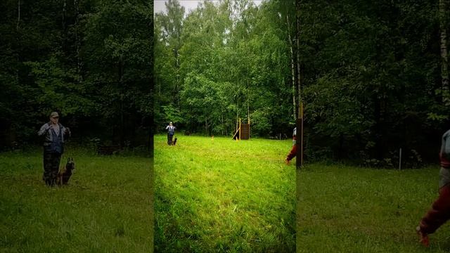 КОРРЕКЦИОННЫЕ СОРЕВНОВАНИЯ МОНДЬОРИНГ 20.07.2023 смотреть онлайн