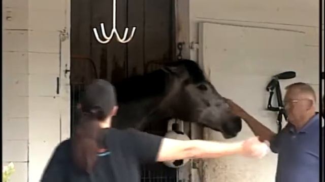 Oaks Day: Awareness Day at track смотреть онлайн