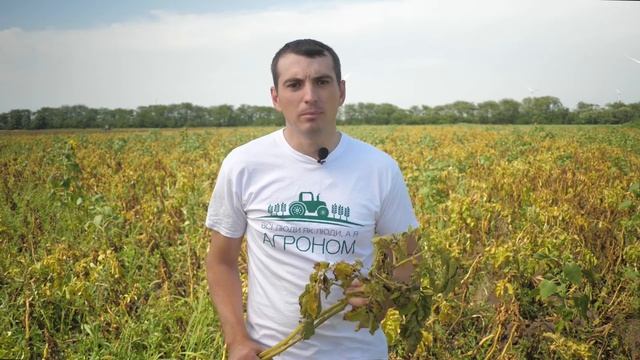 Картопля. Мій борщ. смотреть онлайн