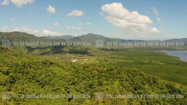 Tropical forest and mountains, Palawan, Philippines смотреть онлайн