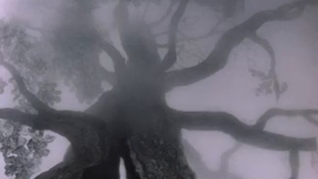 Советский мультфильм Ёжик в тумане смотреть онлайн