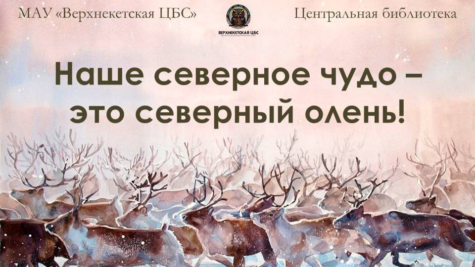НАШЕ СЕВЕРНОЕ ЧУДО - ЭТО СЕВЕРНЫЙ ОЛЕНЬ! смотреть онлайн