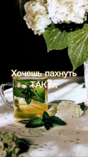 Какой аромат использовать круглогодично? NICE BERGAMOTE от Essential Parfums смотреть онлайн