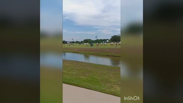 Мама, сын и кошка. Переезд на ПМЖ в США из Узбекистана. В нашем городе нашли инфекцию в воде!😱 смотреть онлайн