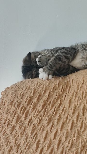 ещё неделю работать(