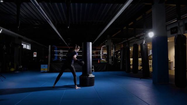 VirtuFit Free Standing Punching Bag - Boxing Pole смотреть онлайн