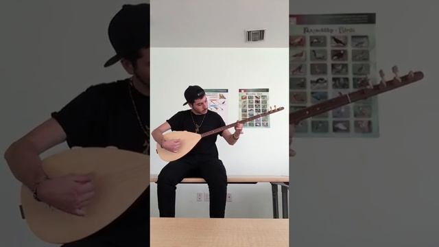 Armenian Saz