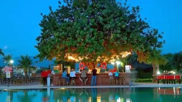 "Garden Of Sun Hotel" Didim смотреть онлайн