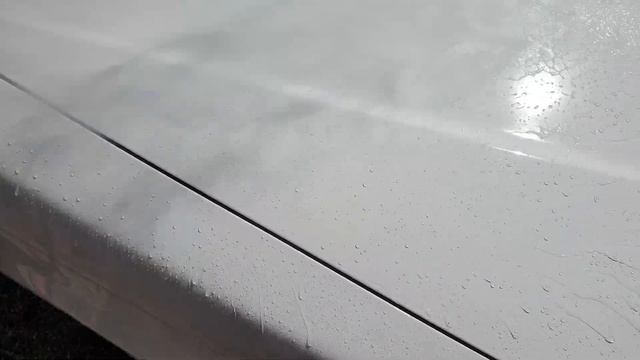 GRASS Hydro polymer + Sonax Xtreme Brilliant Shine Detailer смотреть онлайн