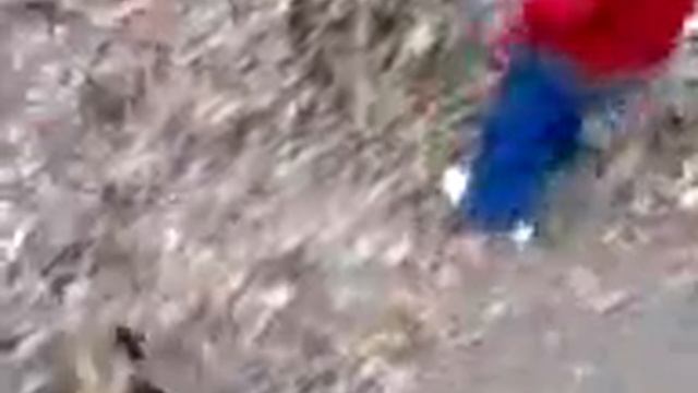 пролдж смотреть онлайн