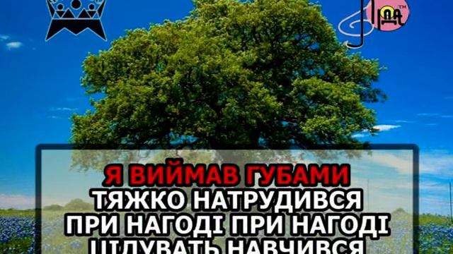 ДІВЧИНОНЬКУ КВІТИ ЗАМАНИЛИ В ГРЕЧКУ (ЗОЛОТІ КРИЛЕЧКА) — караоке Ukrainian folk song karaoke смотреть онлайн