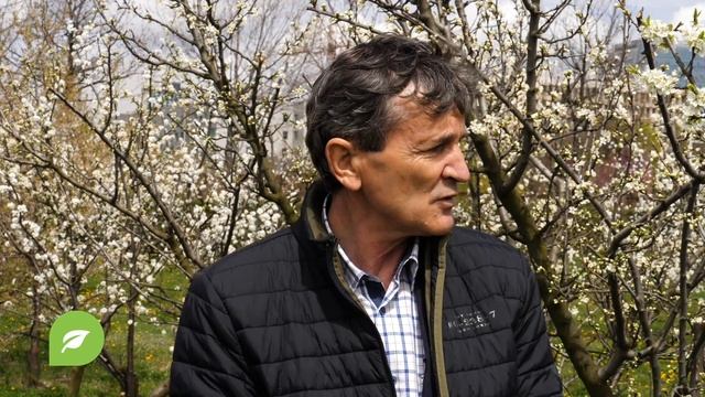 Tot ce trebuie sa stii despre PRUN | Viata in Gradina смотреть онлайн