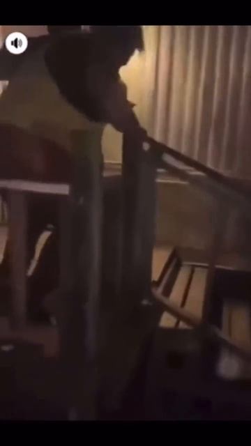 самки бегемота дерутся