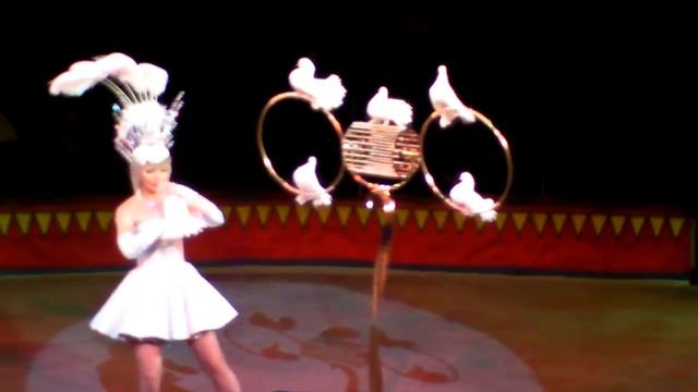 Цирк 23января2014 16 смотреть онлайн