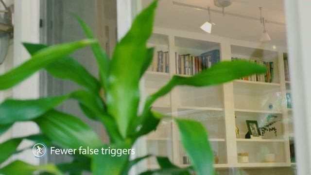 Swann Wireless Smart Security Camera (USA Full Version) смотреть онлайн