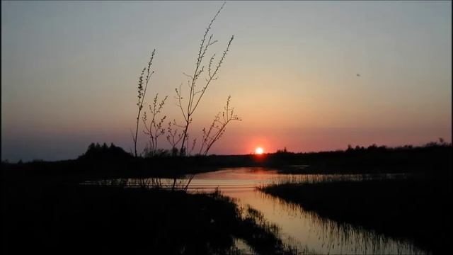 Иеромонах Роман. «И коснется меня боль обмана...» смотреть онлайн