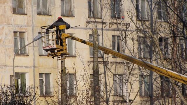 Гибнут тополя у кинотеатра Нарвский смотреть онлайн