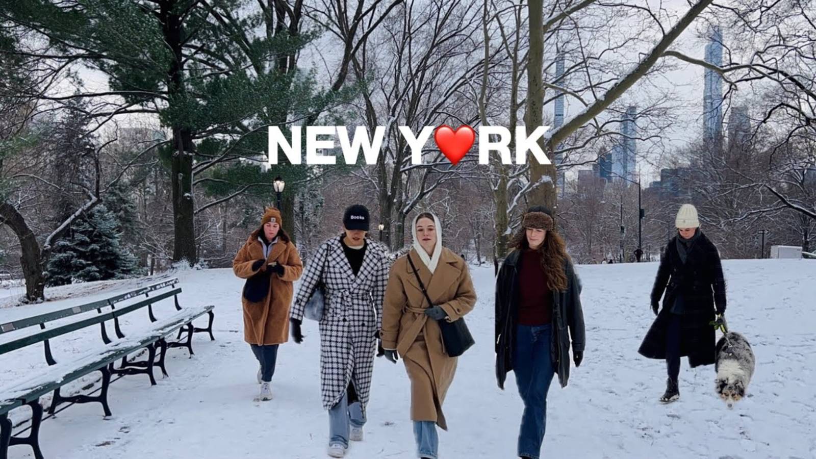 NYC Walk🗽Beautiful Snowfall in New York City ☃️❄️Central Park to Upper East Side | Jan 2025 смотреть онлайн