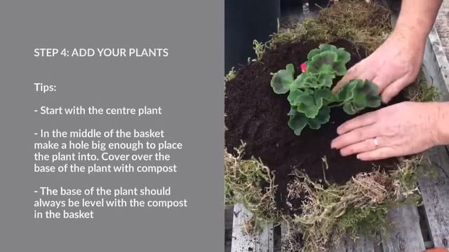 How to make a stunning summer hanging basket смотреть онлайн