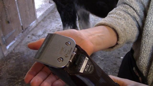 How And Why To Clip A Hairy Horse смотреть онлайн