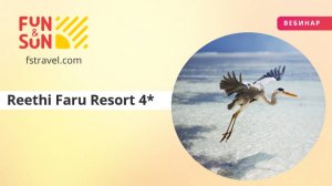 Reethi Faru Resort 4*: идеальный курорт на Мальдивских островах