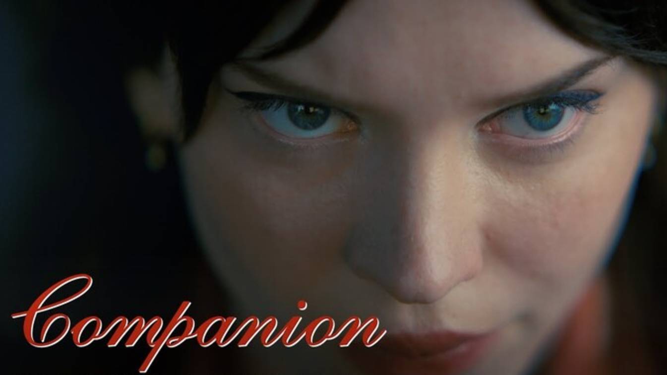 Компаньон (2025) / Companion смотреть онлайн