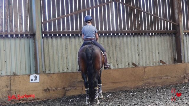 HeartHorse Dressage - Leg Yield (No kinky banana horses allowed!) смотреть онлайн