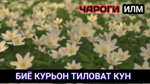 Нашида:  Биё Курьон Тиловат Кун 🗣️Azizjon Saidov