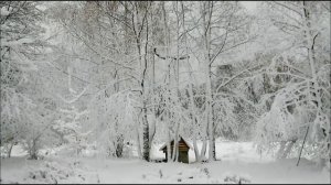 Иеромонах Роман. «Полоскают меня други ближние...»