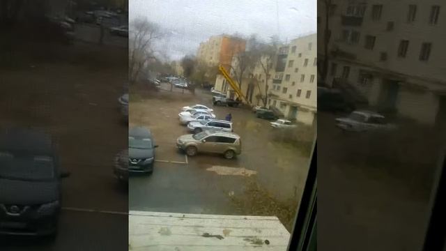 Срубили мое любимое дерево!!😧😤😭 смотреть онлайн