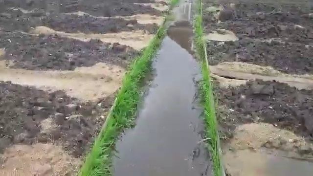 Поднимаем огород