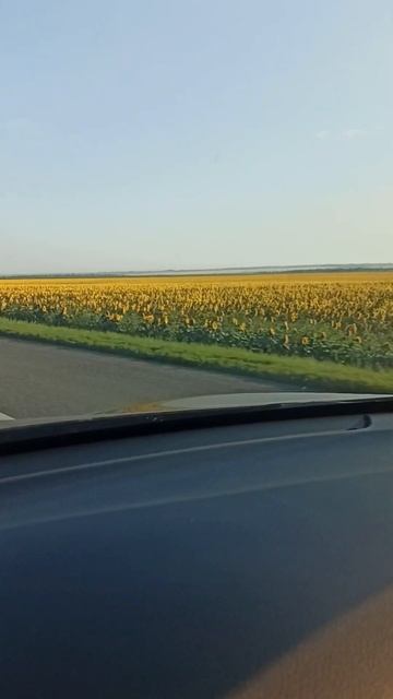 VID 20230726 061017 смотреть онлайн