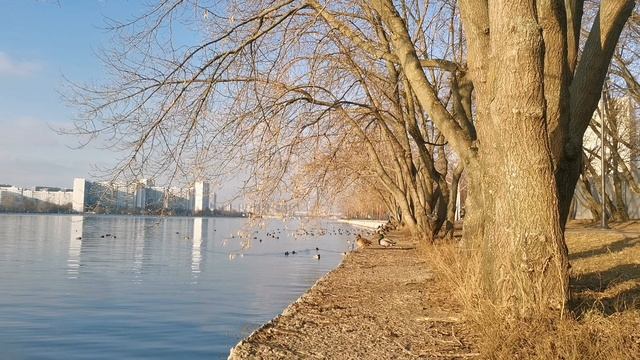 Я - психолог и мне не стыдно признаться...