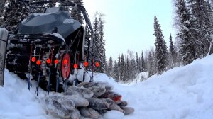 Зимняя рыбалка.попал на хороший клев хариуса на таежной реке