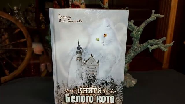 ВОПРОСЫ ПО РИТУАЛУ РАСКРЕЩИВАНИЯ… смотреть онлайн