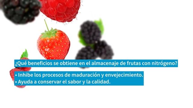 Atlas Copco | Gases | Capítulo 2 | Almacenamiento de frutas con nitrógeno смотреть онлайн