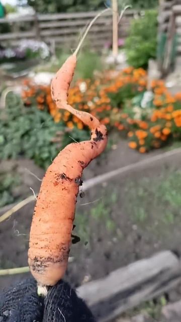 Как так можно . смотреть онлайн