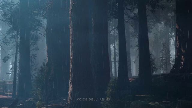 Красивая Музыка Для Души Индейская Флейта - Музыка для Релаксации и Успокоения