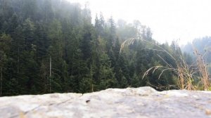 ЛАЙЛАТУЛ КАДР КЕЧАСИ ДУОСИ РАМАЗОН ТУХФАЛАРИ