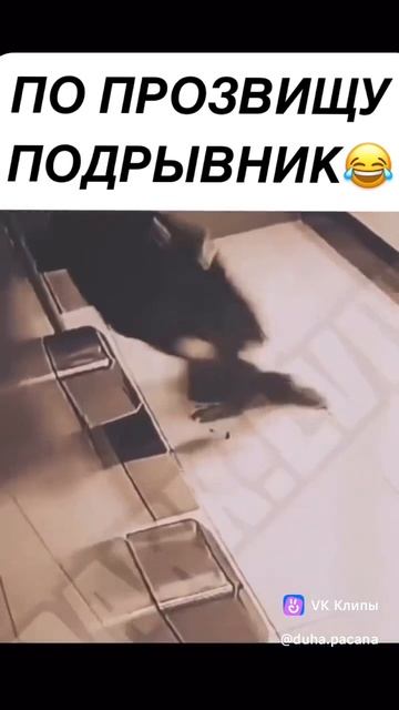 #shorts#, смех, ржач, юмор, настроение, приколы.mp4 смотреть онлайн