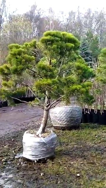 28 апреля 2023 г. смотреть онлайн