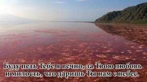 Прихожу к Тебе я с хвалою. Христианское караоке