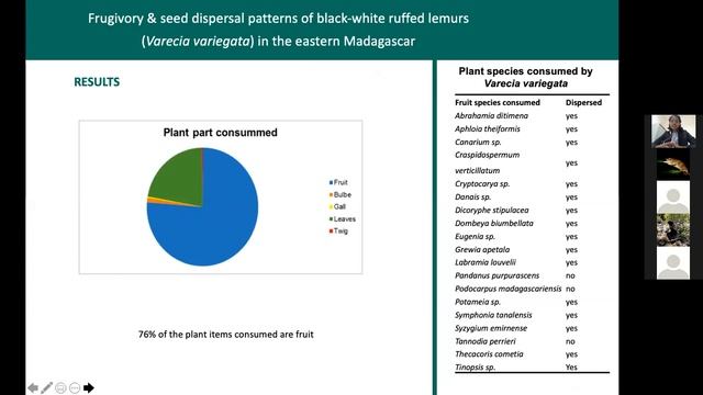 Frugivory & seed dispersal patterns of white ruffed lemurs in the eastern Madagascar смотреть онлайн